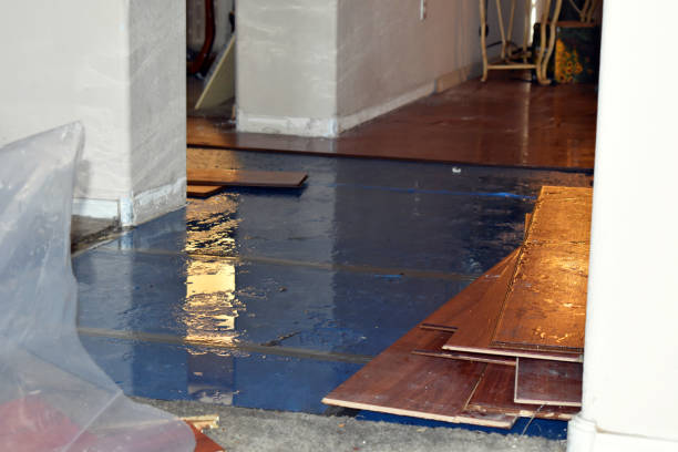 Professional Basement Flood Cleanup technician working in Wainscott, NY